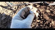 Дорога между двумя деревнями! Что попадается там?