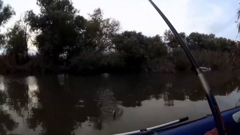 Астрахань, AQUA BOAT 330 с.Вышка рыболовная база "МОРЯНА"