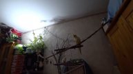 экшн камера sony FDR-x3000 тест