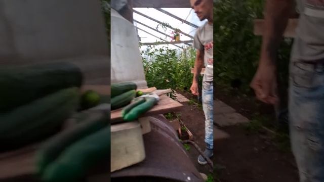 почти выключен кирпичом
