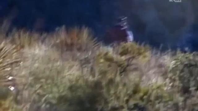А что бы Вы сделали