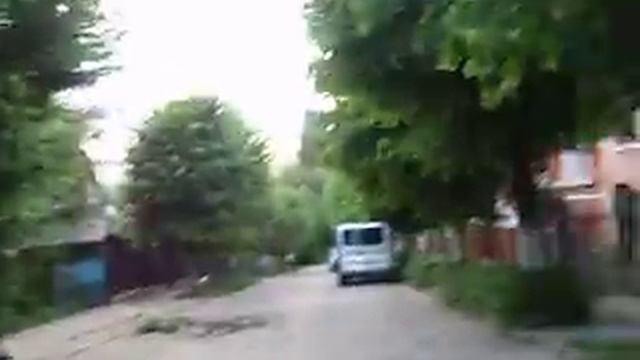 Собачка и дом с плющом