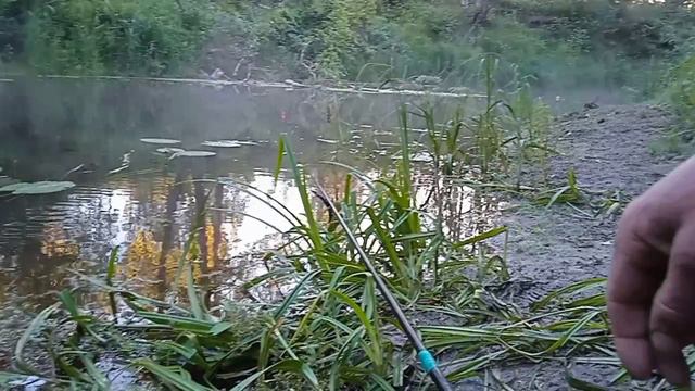 Рыбалка на таежной речке. Окушки и чебачки на удочку