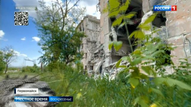В ЛНР найдены останки бойцов ВСУ