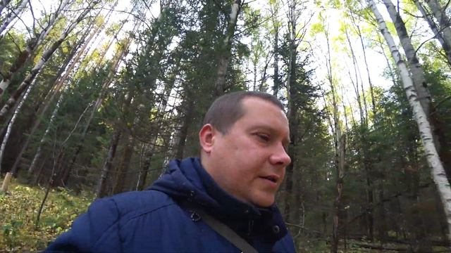 Прогулка по лесу / Проверка солонца для лосей