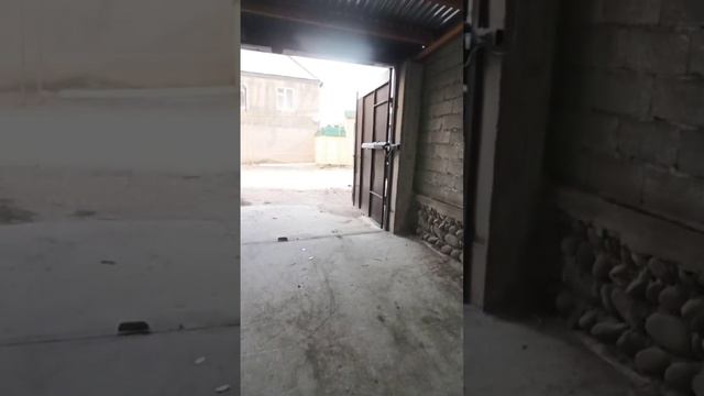 автоматика