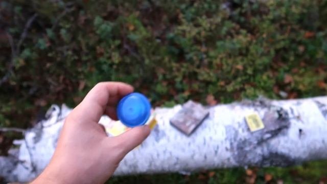 Одиночный поход в осенний леспрогулка на болото.