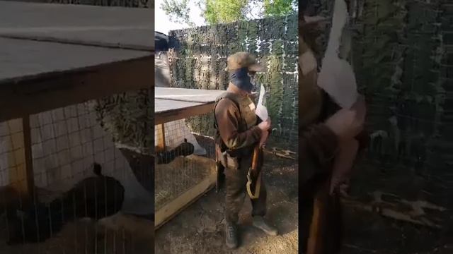 Липецкий зоопарк подарил российским военным на фронт в Украину двух павлинов 🦚