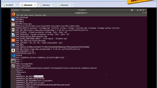 שירותי Swarm - DNS
