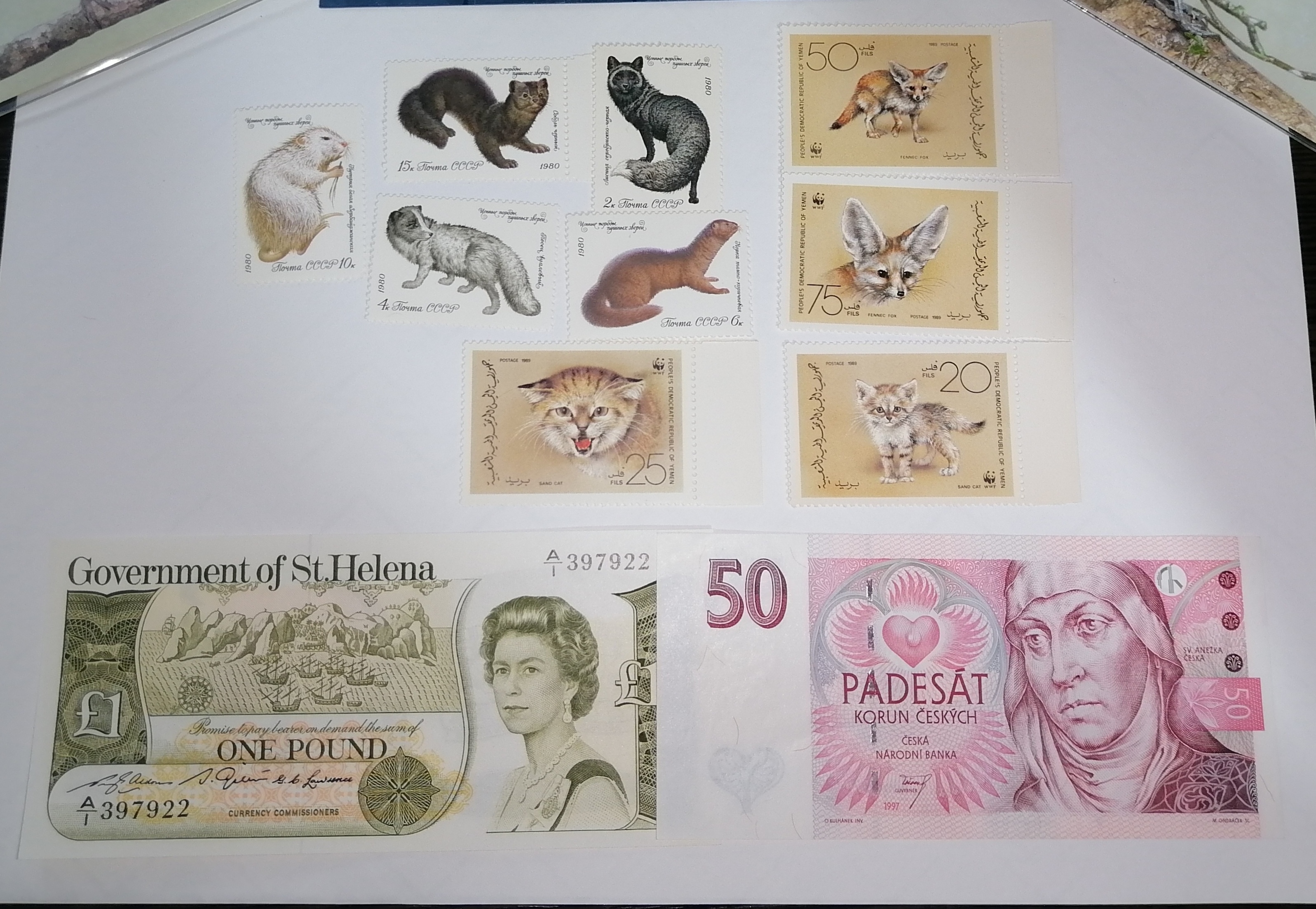 Пополнение коллекции: новые банкноты и почтовые марки в коллекции