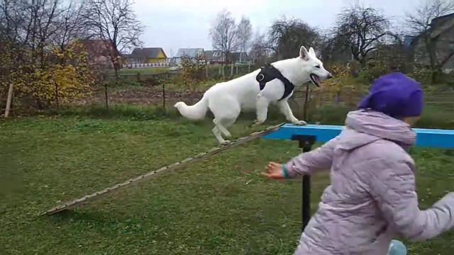 БШО на буме