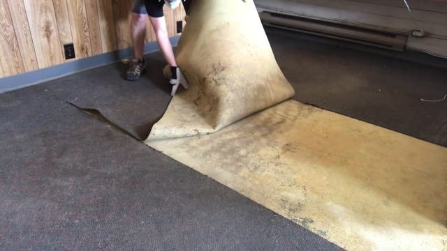 This Is The BEST TOOL For Glued-Down Flooring! (Carpet Removal/Floor Adhesive Removal)