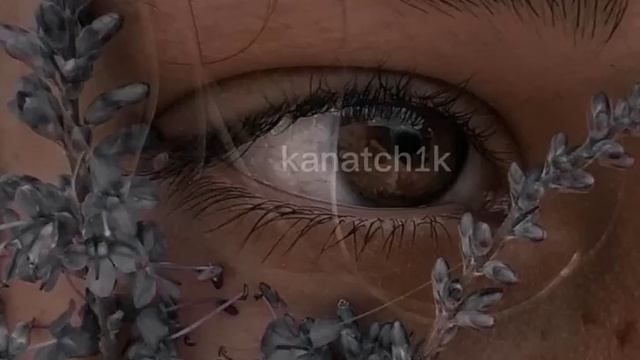Maga - Последний роман - Mon ami (slowed)