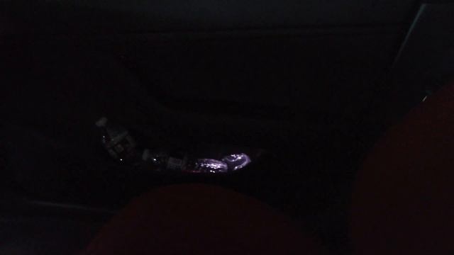 Встреча владельцев Tesla Model 3