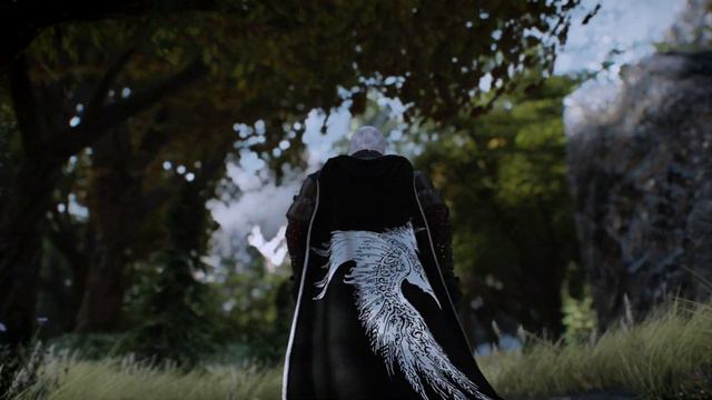 Skyrim Fantastic Cloaks SE