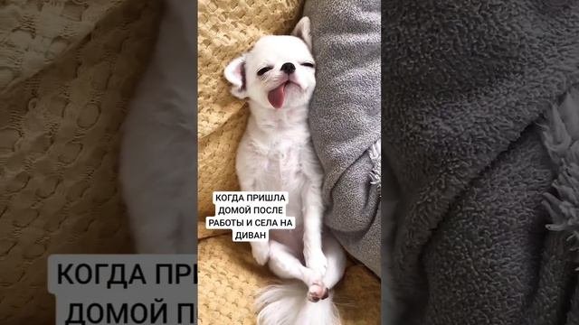 Когда пришла домой после работы...
