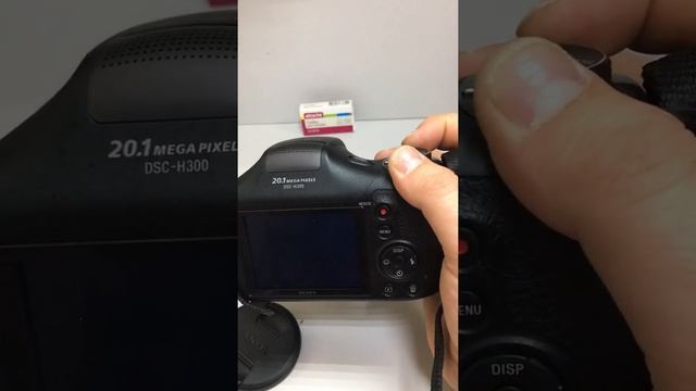 Sony dsc-h300
