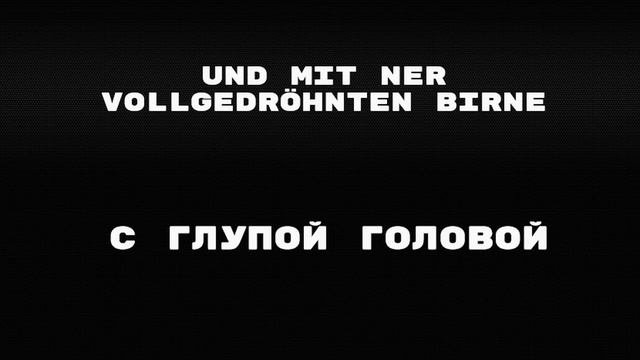 Sleipnir-Meine Welt перевод песни на русский.