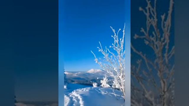 Дебют моего крестника Дениса?