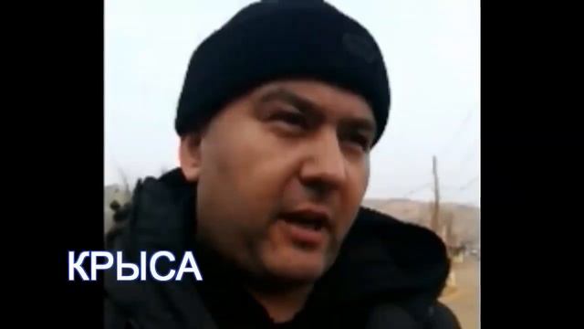 В Чите поймали крысу с видеорегистратором!