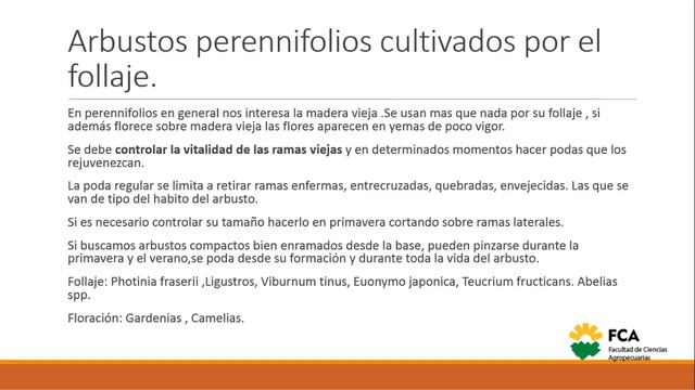 Poda En Jardinería (Parte 1)
