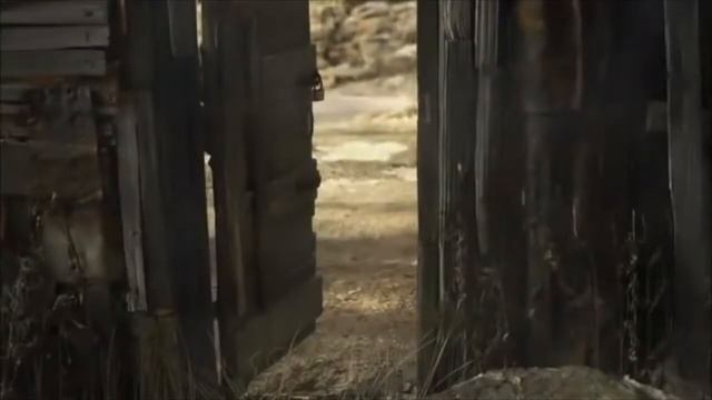 Peter and the Wolf - Instrument Motifs