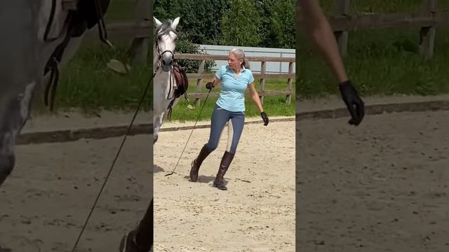 Лошадь играет с человеком