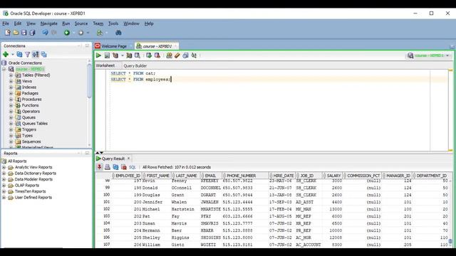 Oracle SQL Developer - Using Results Grid