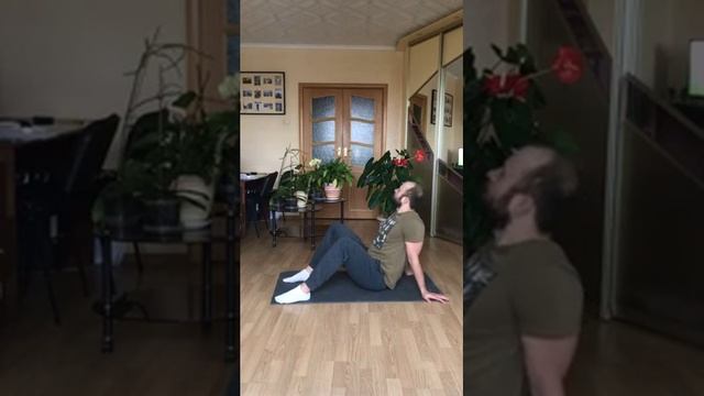 Тренировка гибкости. Начальный уровень.