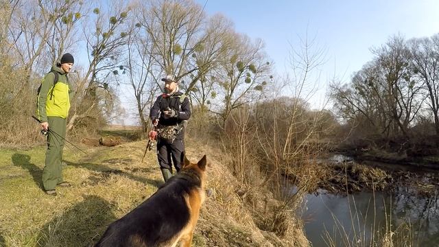 Ловля щуки по холодной воде. Рыбалка зимой с собакой. Favorite Team.