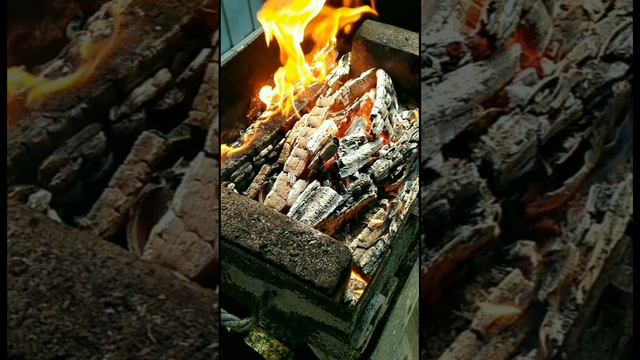 Копчение леща