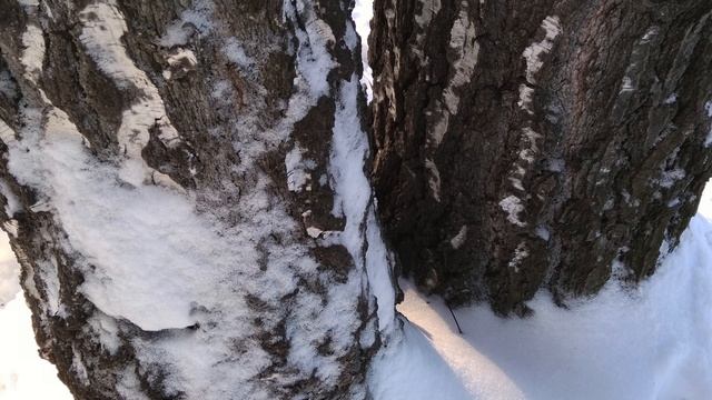 Снежинка (К. Д. Бальмонт)/Snowflake (K. D. Balmont)