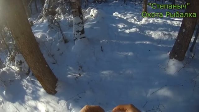 На мотобуксировщике по Нижней дороге / Чужая собака / Нашел Шульту (2 часть) 09 11 20