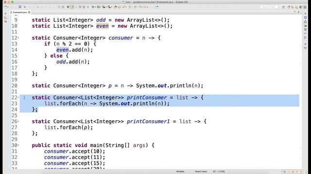 Consumer Functional Interface Video 12