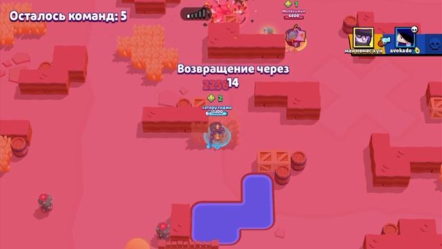играю в бравл старс