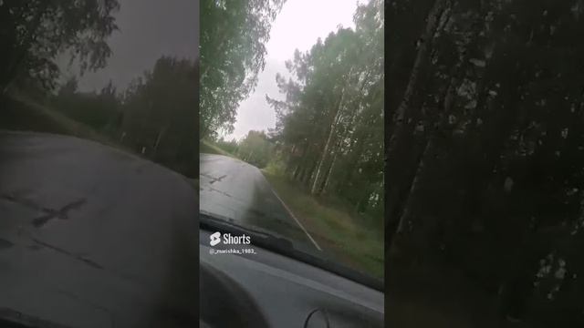 Дождь🌧️