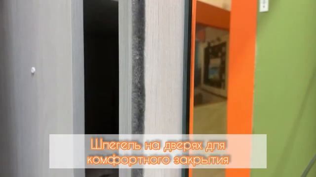 Шкаф-купе «Крафт-6».