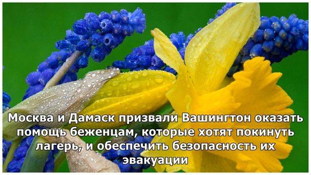 Лагерь беженцев "Эр-Рукбан": спасать скоро будет некого