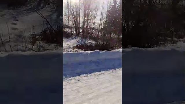 просто  гуляем