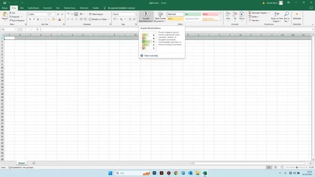 Microsoft Excel - Koşullu Biçimlendirme Ayarları Aktarımı