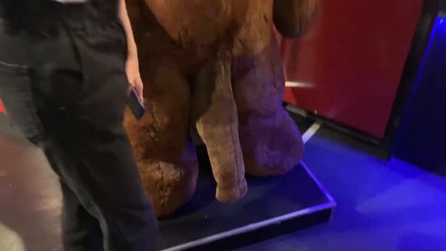 Максим Павленко (Даша Корейка 🇰🇷))
