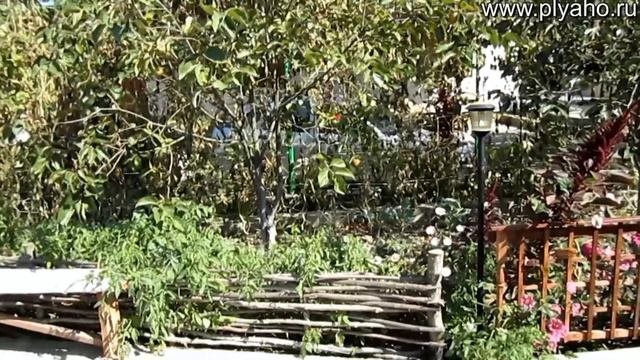 Пляхо ул Дорога Орлят1 - отдых в Туапсинском районе