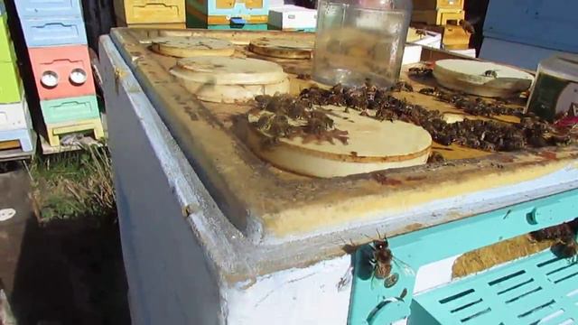 строю рамки в семье пчел без вощины в мае - ставлю рамки с полосками вощины для отстройки сота