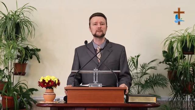 Воскресенье утро | 22 ноября 2020