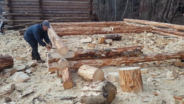 Начало сборки сруба