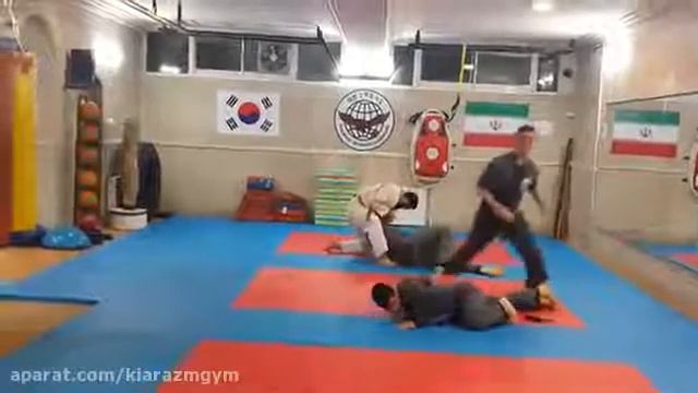 Sin Moo Hapkido Iran 8