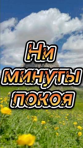 Ни минуты покоя !