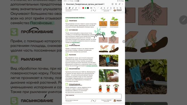 Агротехнические приёмы
