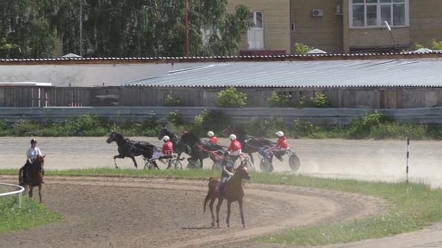 Резвая работа 12.06.2022. Орловцы 3 лет