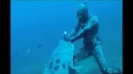 Giant Goliath Grouper Attacks Diver who is Spearfishing!